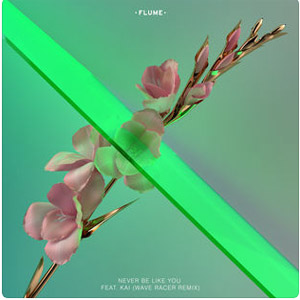 Disco Never Be Like You  [Wave Racer Remix] de Flume