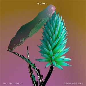 Disco Say It  [Clean Bandit Remix] de Flume