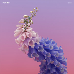 Disco Skin LP Preview de Flume