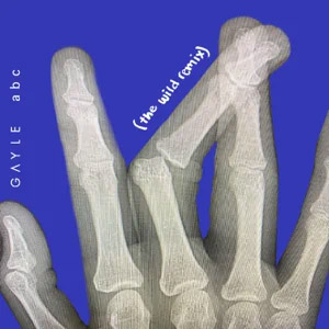 Disco Abc (The Wild Remix) de Gayle