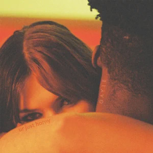 Disco Ur Just Horny de Gayle