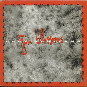 Disco Lost Horizons de Gin Blossoms