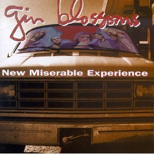 Disco New Miserable Experience de Gin Blossoms