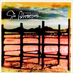 Disco Outside Looking In: The Best Of Gin Blossoms de Gin Blossoms