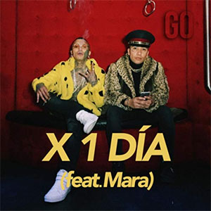 Disco X 1 Día de Go Golden Junk