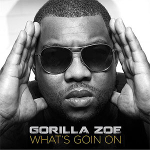 Disco What's Goin On de Gorilla Zoe