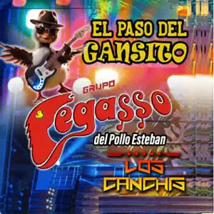 Álbum El Paso del Gansito de Grupo Pegasso