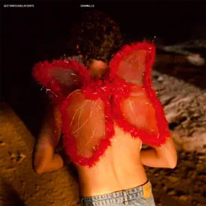 Disco Caramullo  de Guitarricadelafuente