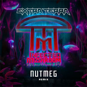 Disco Nutmeg (Extra Terra Remix) de Infected Mushroom