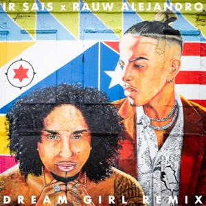 Disco Dream Girl (Remix) de Ir Sais