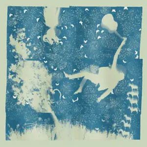 Disco Light Verse de Iron And Wine