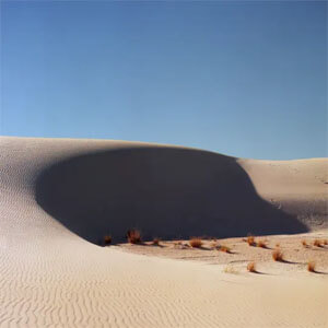 Disco Honey de Jesse Báez