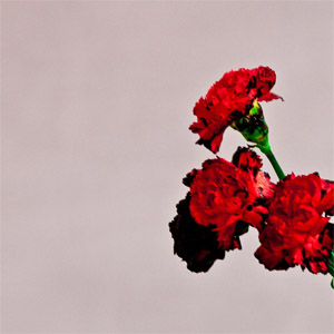 Disco Love In The Future de John Legend