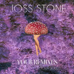 Disco Your Remixes of Water For Your Soul de Joss Stone
