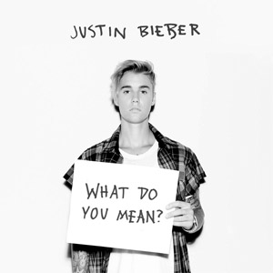 Disco What Do You Mean? de Justin Bieber