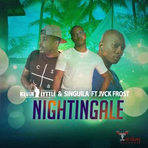 Disco Nightingale de Kevin Lyttle