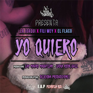 Disco Yo Quiero de La Joaqui