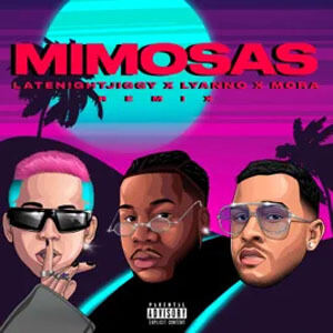 Disco Mimosas (Remix) de LATENIGHTJIGGY