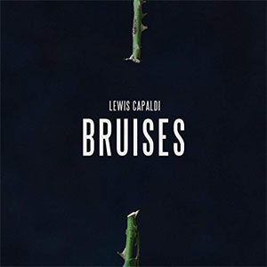 Disco Bruises de Lewis Capaldi