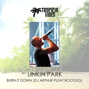 Disco Burn It Down (DJ Arthur Pleat Bootleg) de Linkin Park