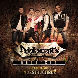 Álbum Indestructible de Los Adolescentes