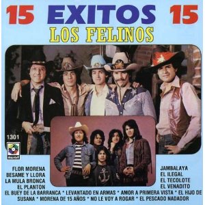 Disco 15 Éxitos 15 de Los Felinos