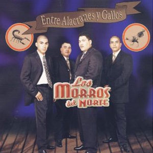 Disco Entre Alacranes Y Gallos de Los Morros Del Norte