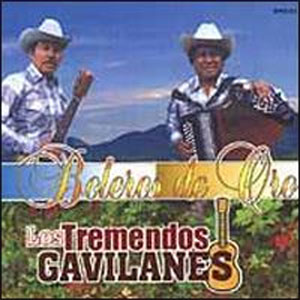 Disco Boleros De Oro de Los Tremendos Gavilanes