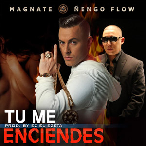 Disco Tú Me Enciendes de Magnate