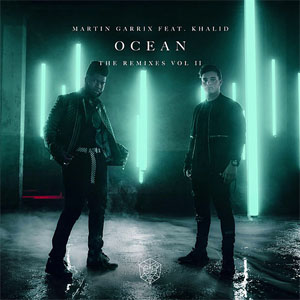 Disco Ocean (Remixes Vol. 2) de Martin Garrix