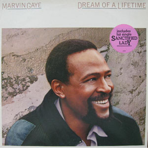 Disco Dream Of A Lifetime de Marvin Gaye