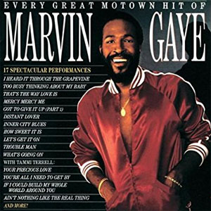 Disco Every Great Motown Hit Of Marvin Gaye de Marvin Gaye
