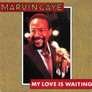 Disco My Love Is Waiting de Marvin Gaye