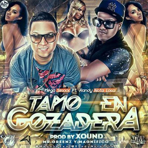 Disco Tamo En Gozadera de Mega Sexxx