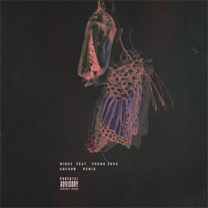 Disco Cocoon (Remix) de Migos