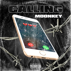 Disco Calling de Moonkey