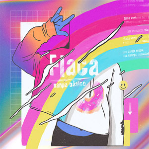 Disco Flaca de Nanpa Básico