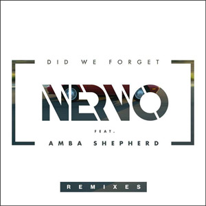 Disco Did We Forget de Nervo