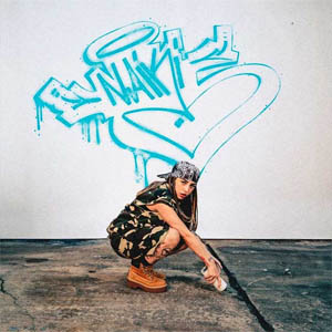 Disco Naiki de Nicki Nicole