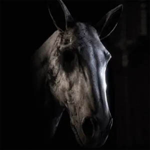 Disco Everybody Needs Someone de Noah Cyrus