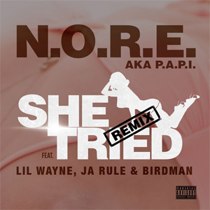 Disco She Tried (Remix) de N.O.R.E.