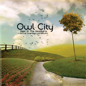Disco Deer In The Headlights de Owl City