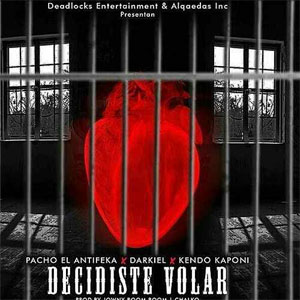 Disco Decidiste Volar de Pacho El Antifeka
