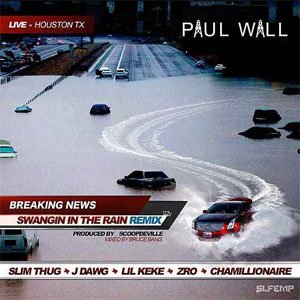 Disco Swangin in the Rain (Remix) de Paul Wall