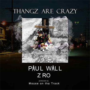 Disco Thangz Are Crazy de Paul Wall