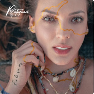 Disco Fui Lo Que Soy de Pitizion