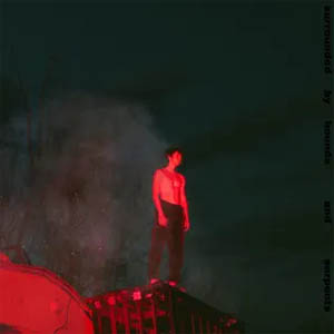 Disco Surrounded By Hounds and Serpents de Powfu