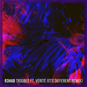 Disco Trouble  (It's Different Remix) de R3hab