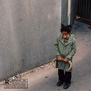 Disco Can´t Hurt You de Raw Souljas Worldwide