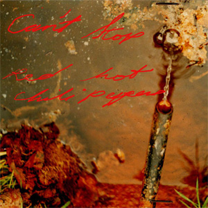 Disco Can't Stop de Red Hot Chili Peppers